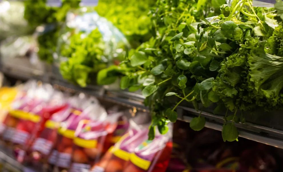 Food Waste & Loss in Southern Europe
